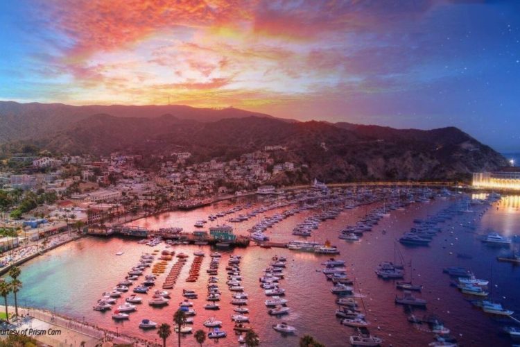 Groove Cruise Announces Groove Island 2019: a One-of-a-Kind Dance Music Experience on Catalina Island